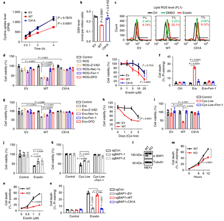 clip_image010.gif http://www.syngenebio.com/repository/image/CO34aCoNTDiFG513fenwAw.png