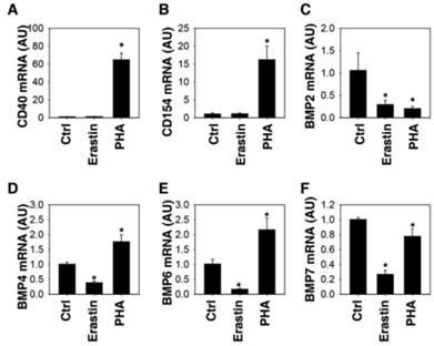 clip_image008.gif http://www.syngenebio.com/repository/image/p7g1ig5vRaK8UqM8hJoZQg.png