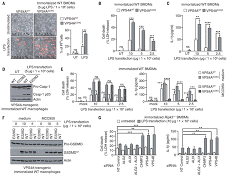 clip_image014.gif http://www.syngenebio.com/repository/image/kfEqE2zwSU2lwrNCpAt-fw.png