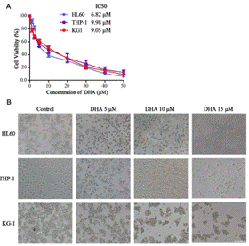 clip_image006.gif http://www.syngenebio.com/repository/image/KBTgbUDWT9ebFUAcBDA-VQ.png