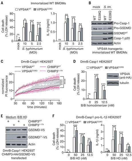 clip_image016.gif http://www.syngenebio.com/repository/image/-JQh9W9WTh-ygg1RVX7iZg.png